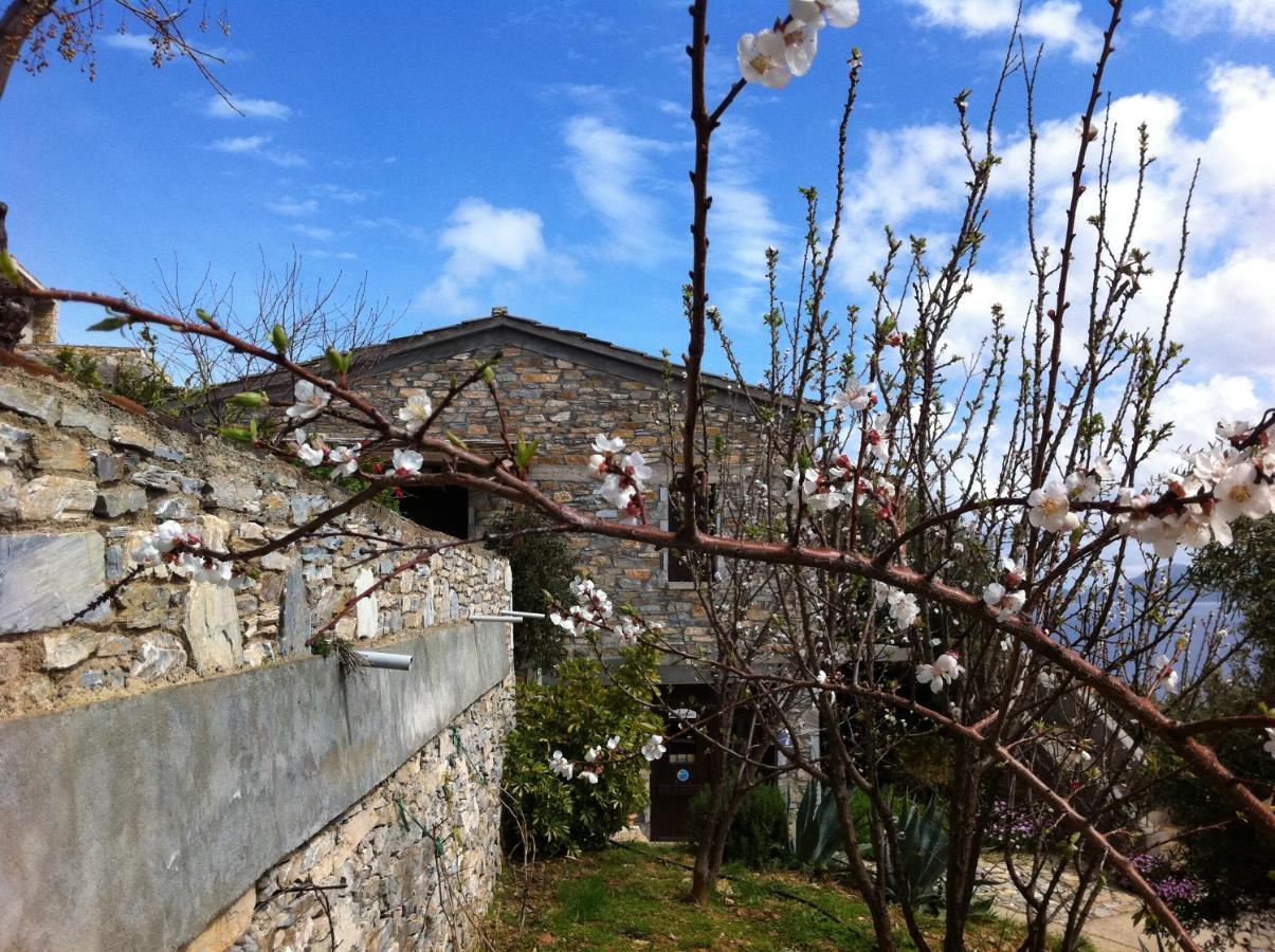 Pyrgos Traditional Village Айос-Кирикос Экстерьер фото